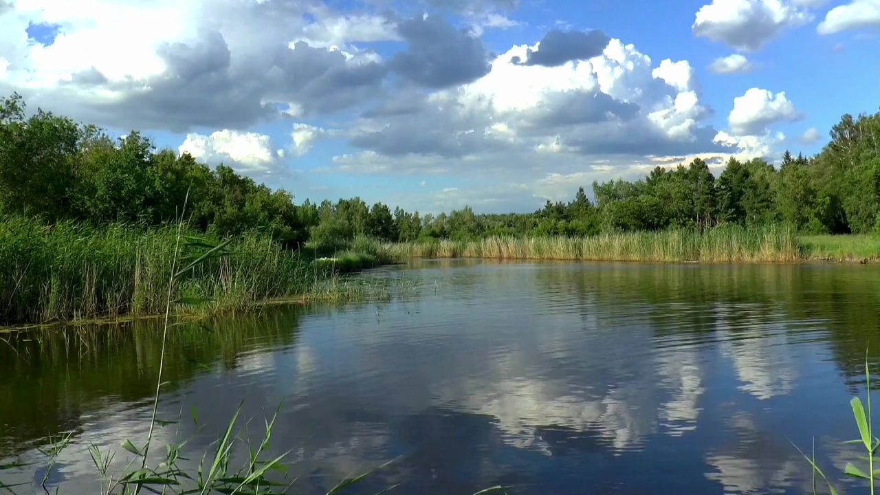 夏季河河岸边