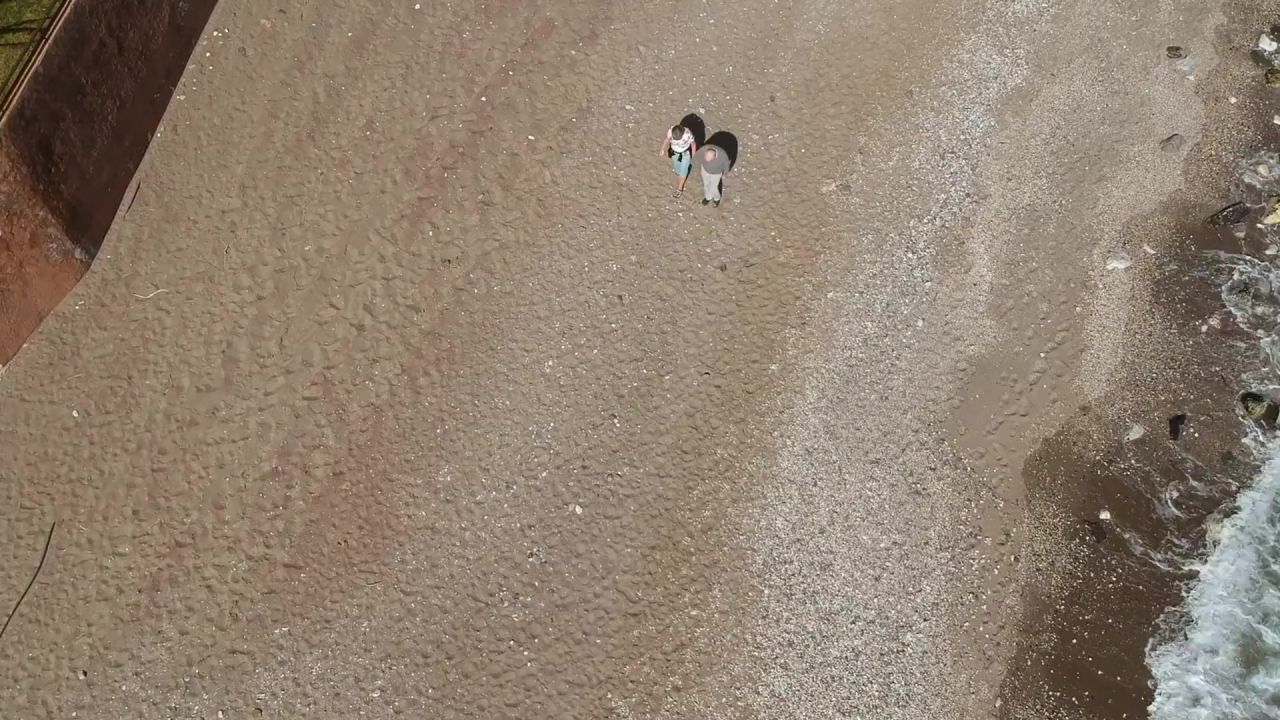 雄蜂老夫妇海滩
