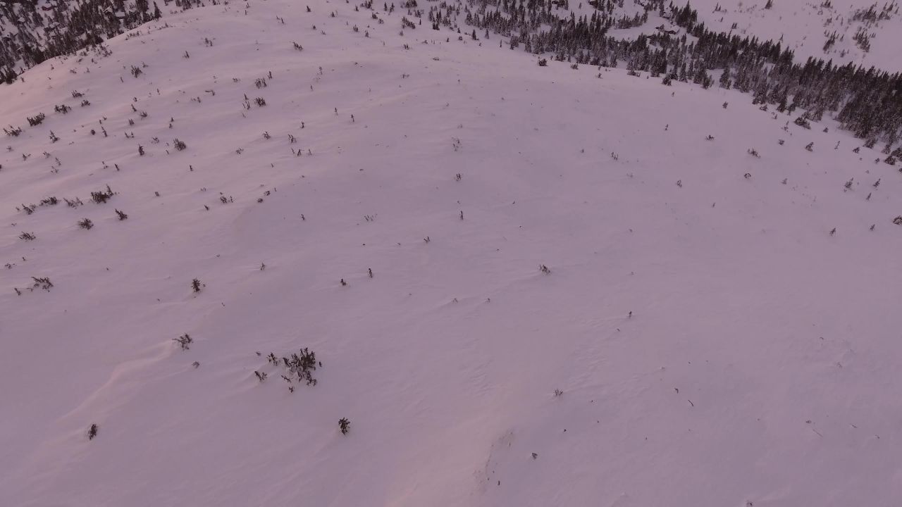 雪景观山森林