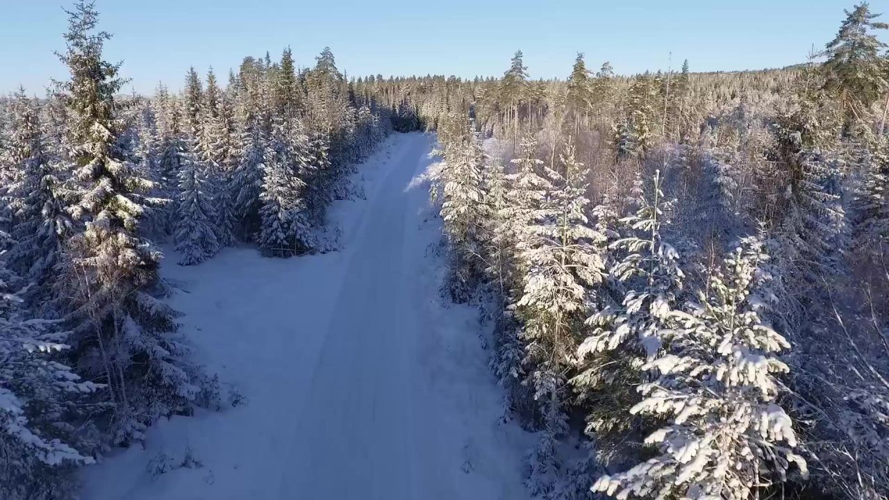 车驾驶雪路冬天