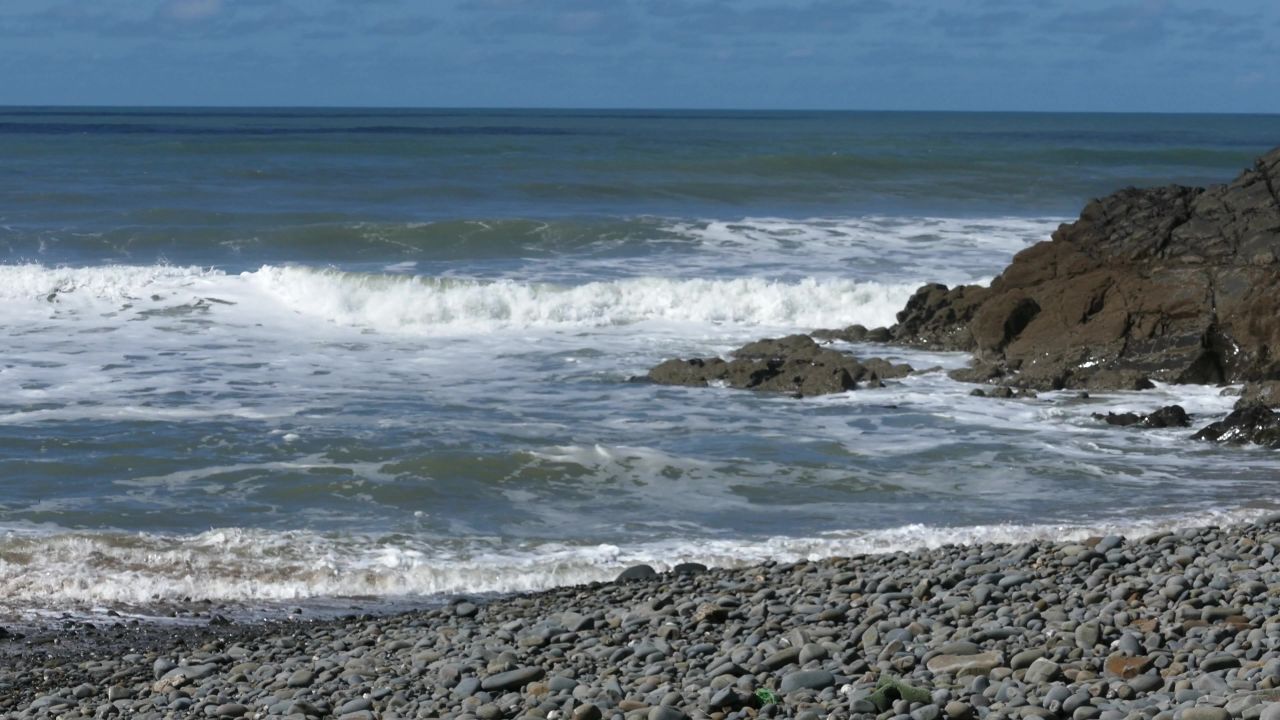 冲浪海滩海夏天水
