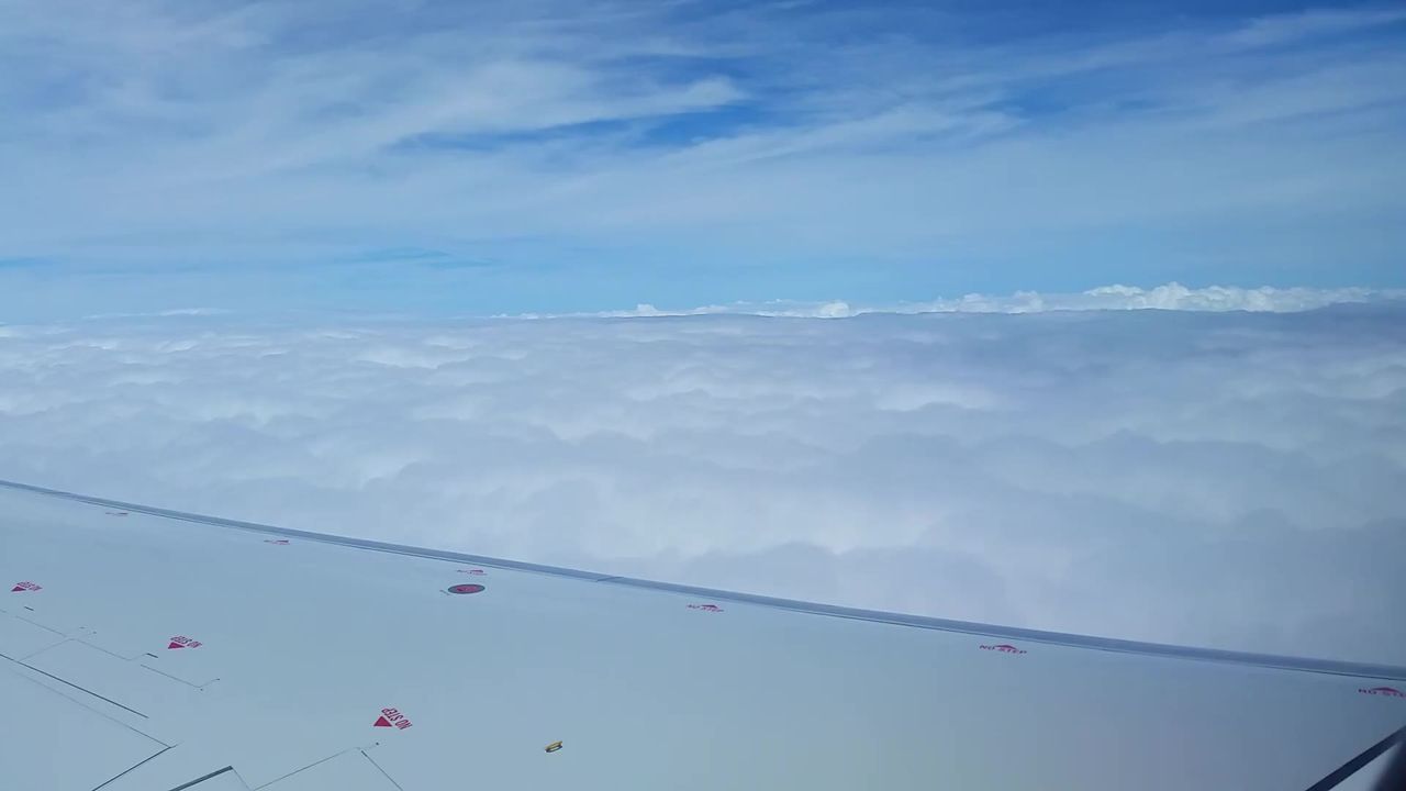 飞机翼航空公司飞行
