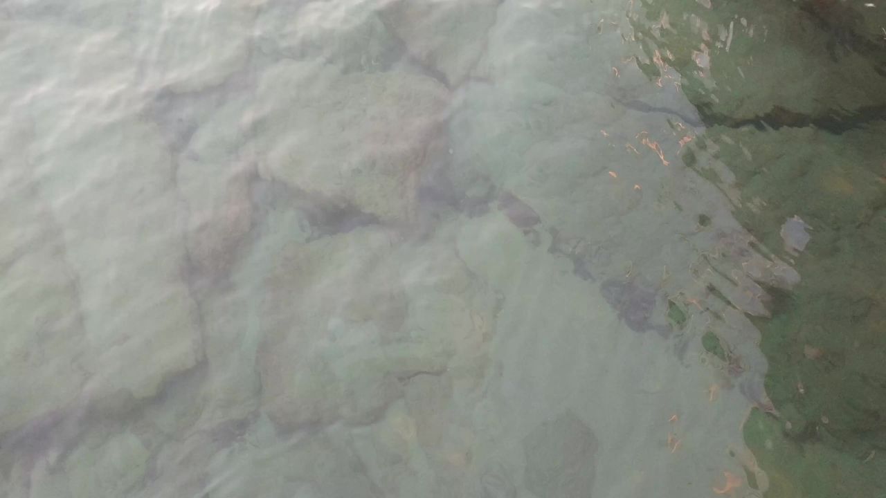 海滩波海洋景观