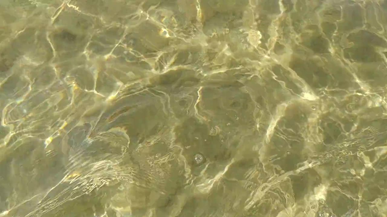 海滩波海洋景观
