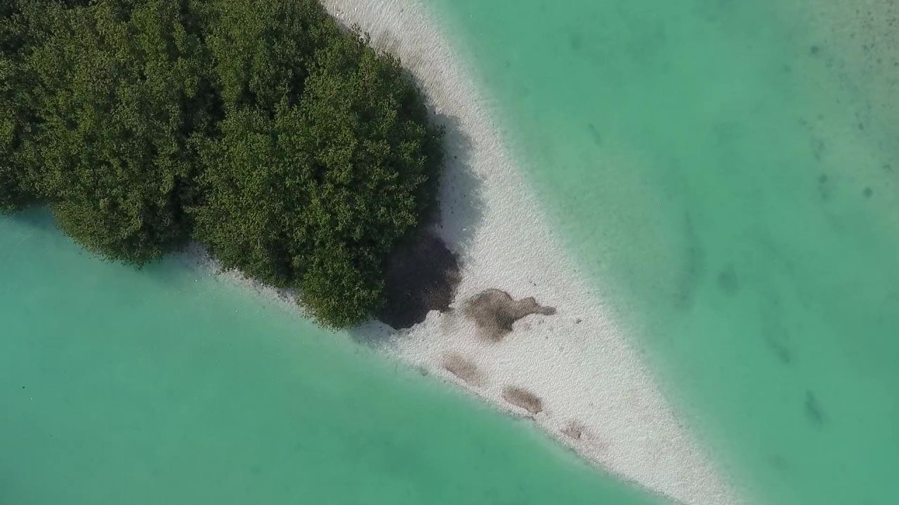海滩岛热带旅行