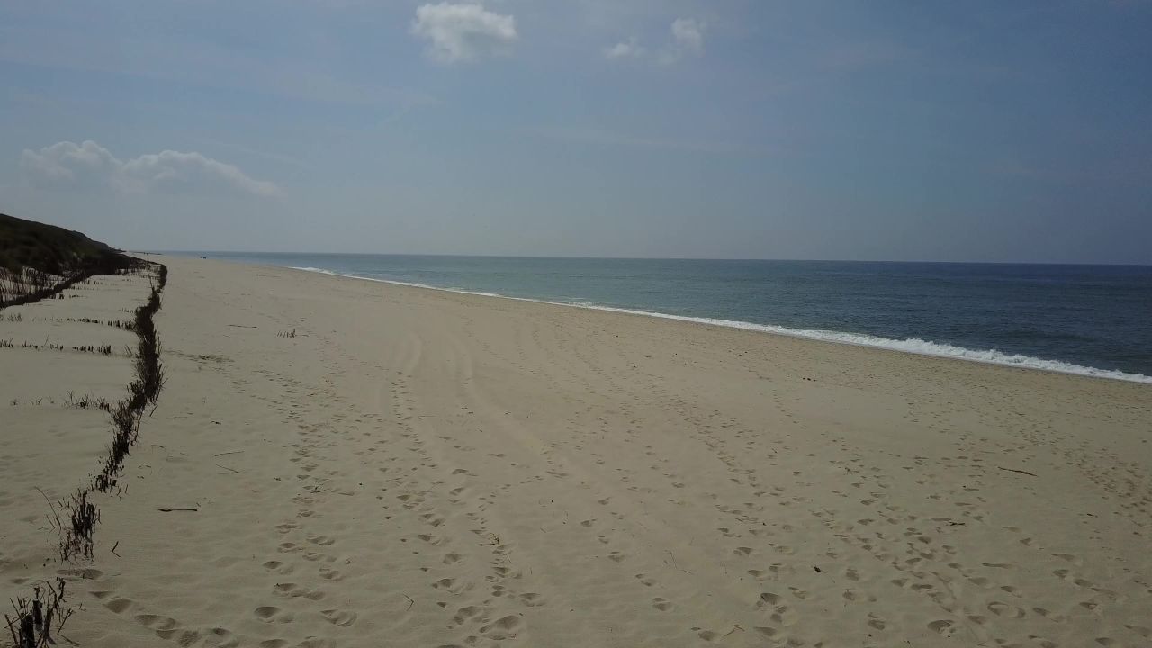 海滩地平线海鸟瞰
