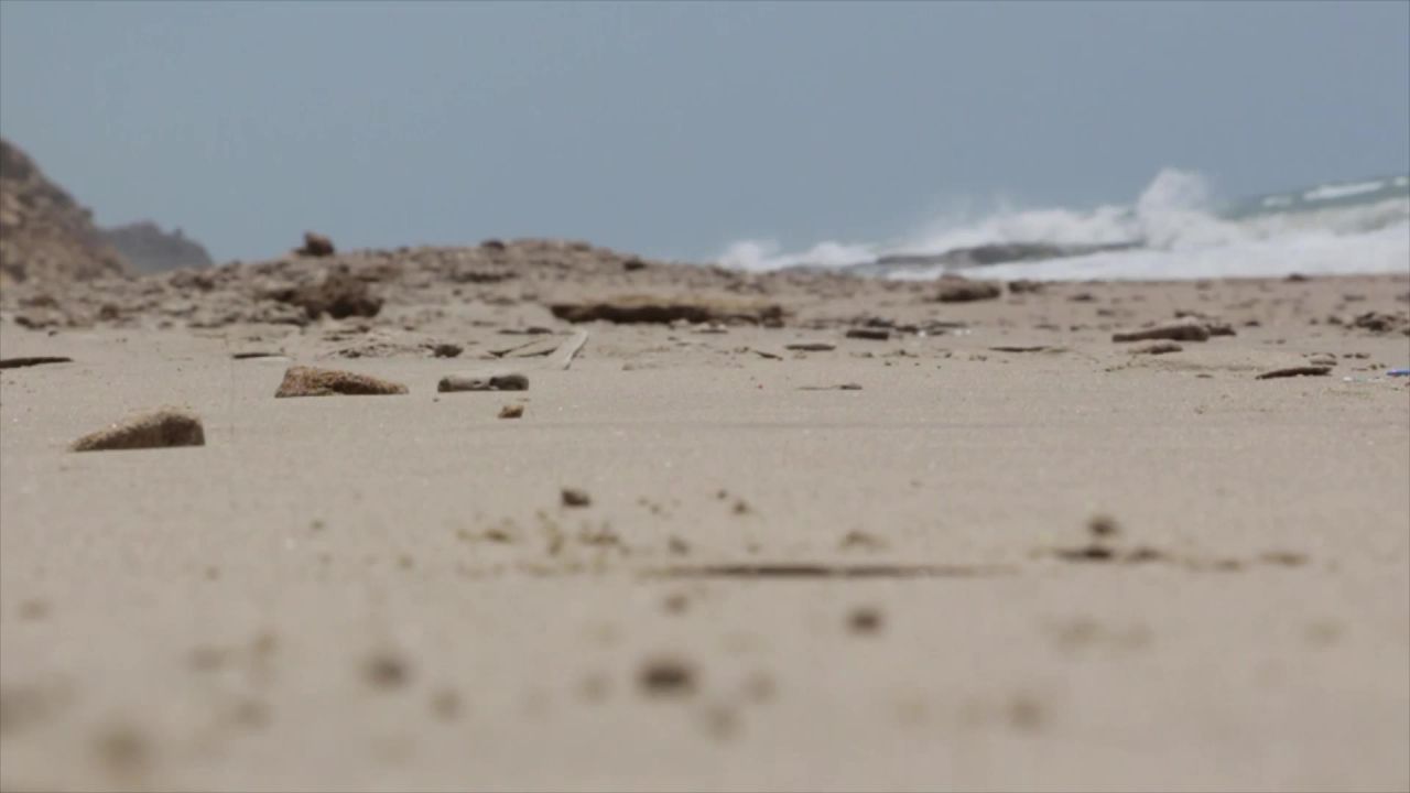 海滩脚沙走