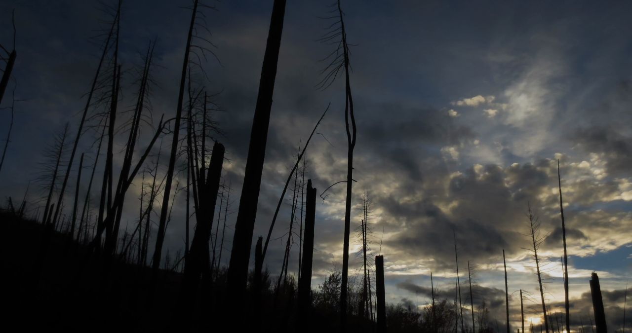 那根云日落