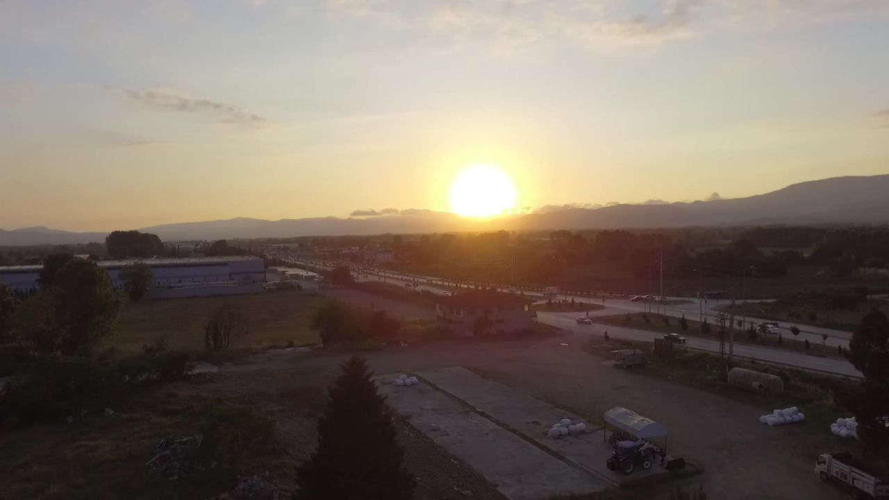 日出雄蜂空气海岛海滩