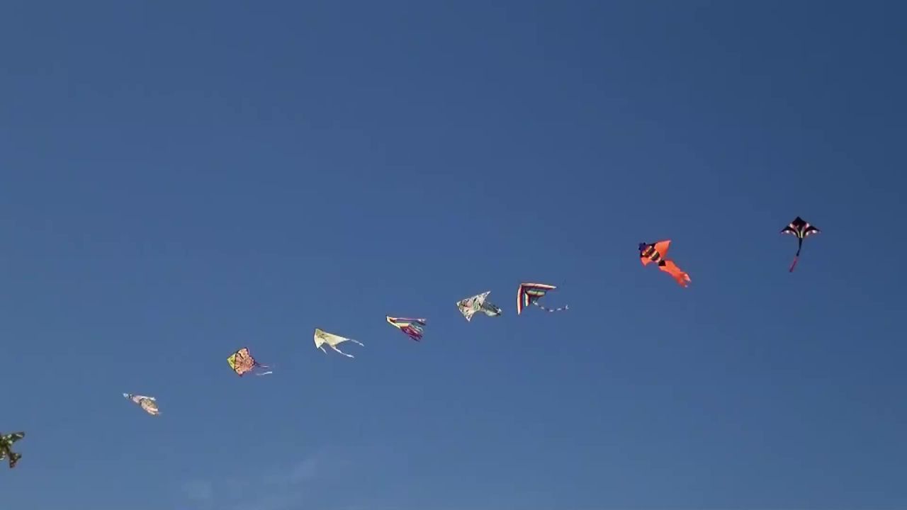 龙乐趣喜悦夏季