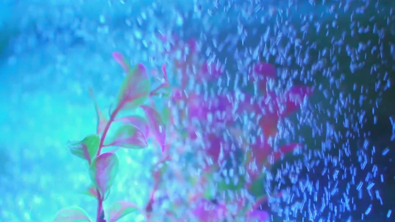 水族馆泡沫水水下