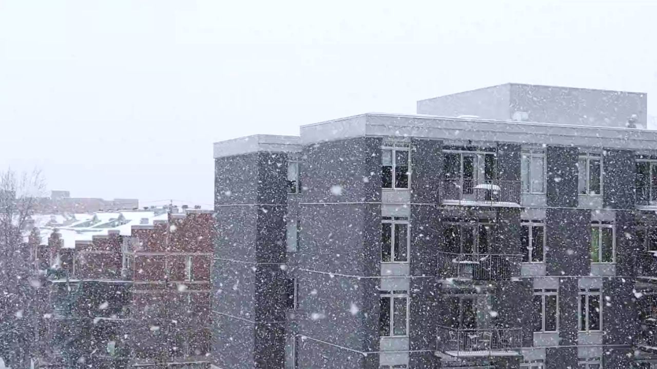 降雪雪冬天雪花