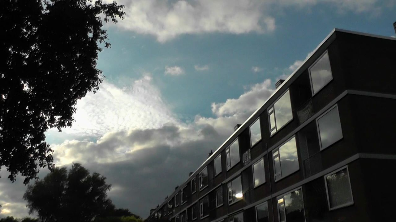 天空云建设树
