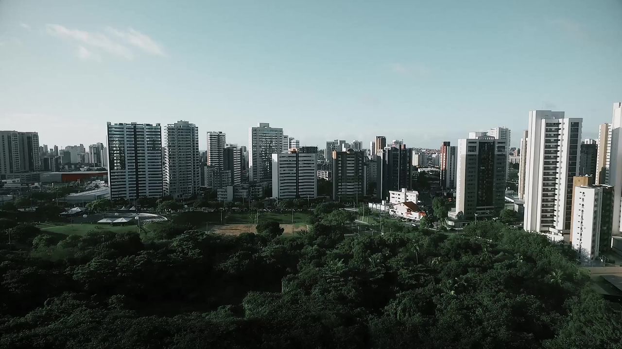 雄蜂城市结构景观