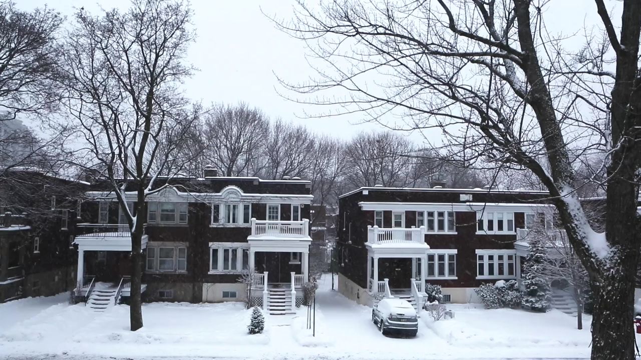 雪下蒸汽冬天