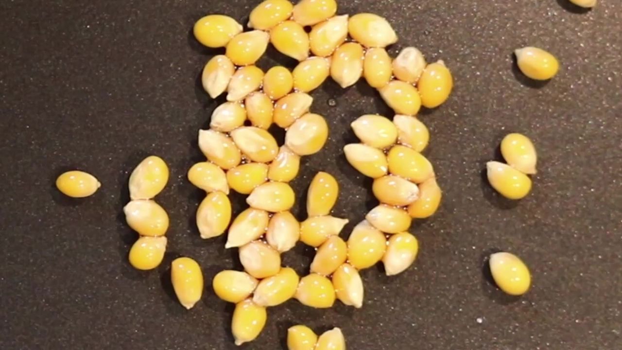 爆米花跳水泛食品