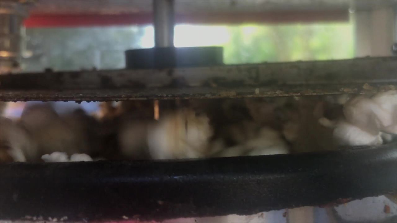 爆米花小吃电影院机