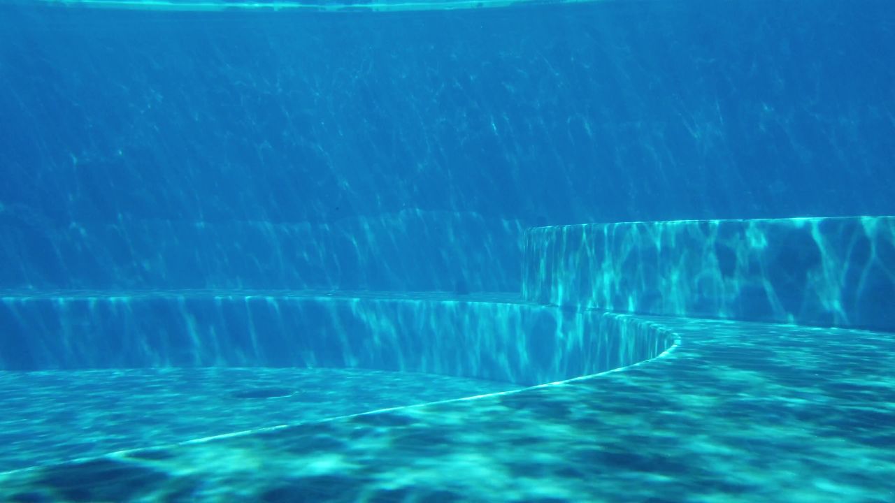 水族馆太阳光水动物