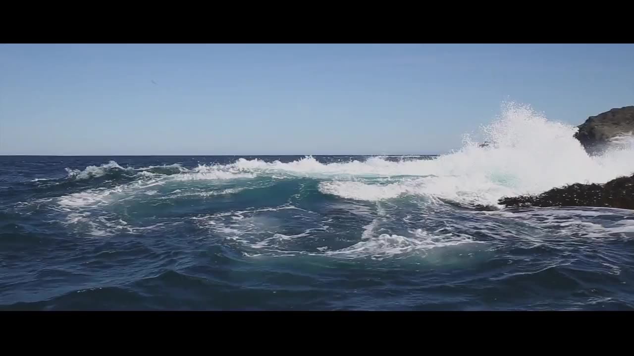 波海洋密封件海水