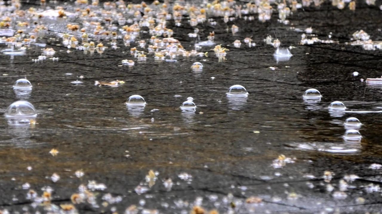 雨街天气