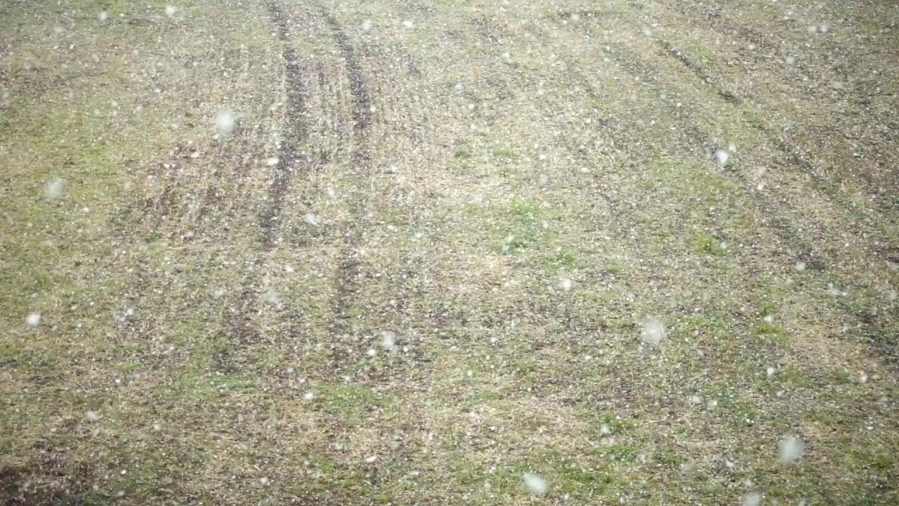 降雪雪雪花雪暴