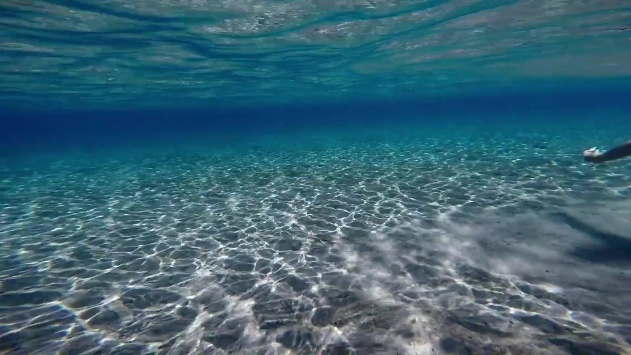 潜水海洋女孩游泳
