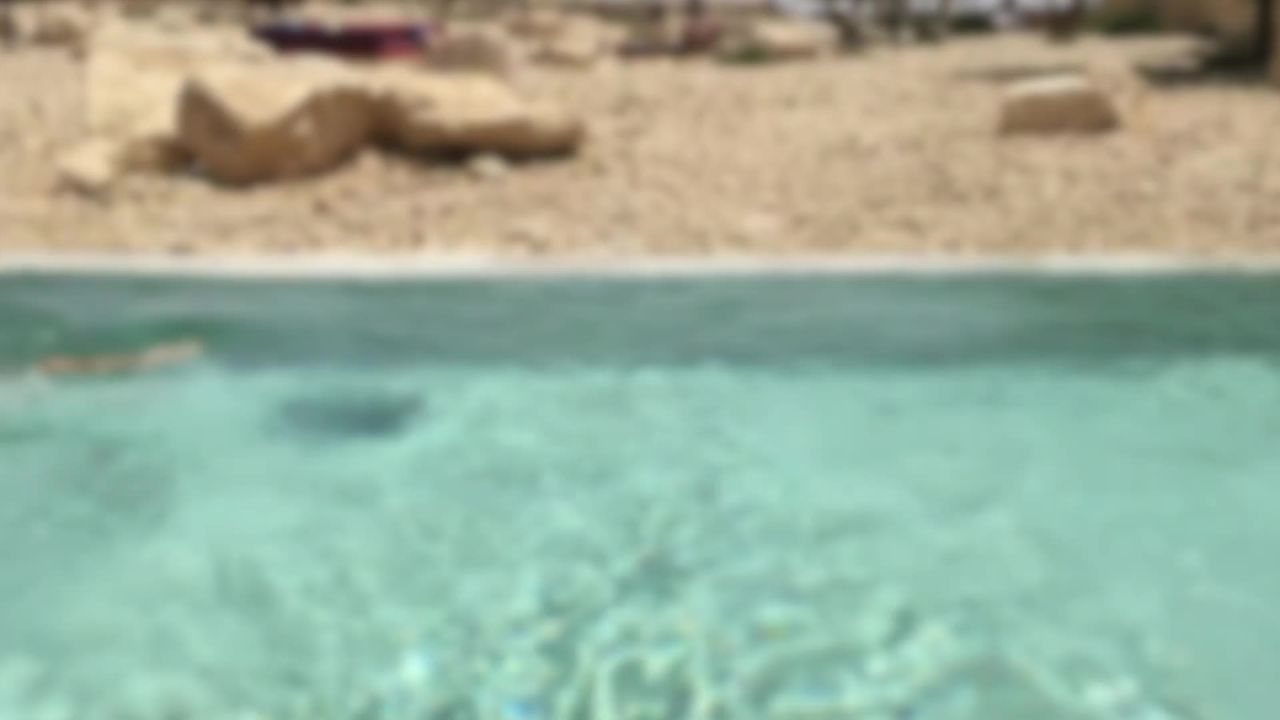 游泳蛙泳水上运动