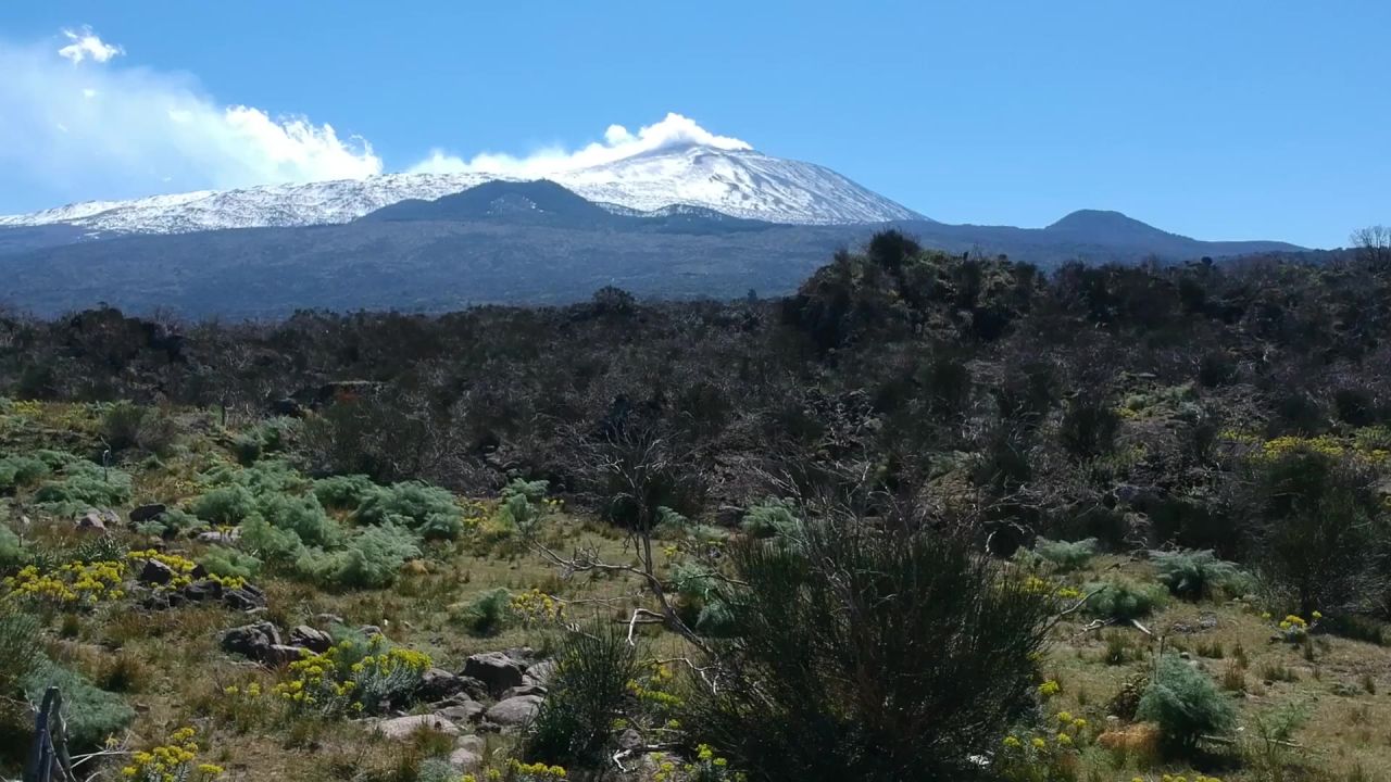 埃特纳火山西西里火山山