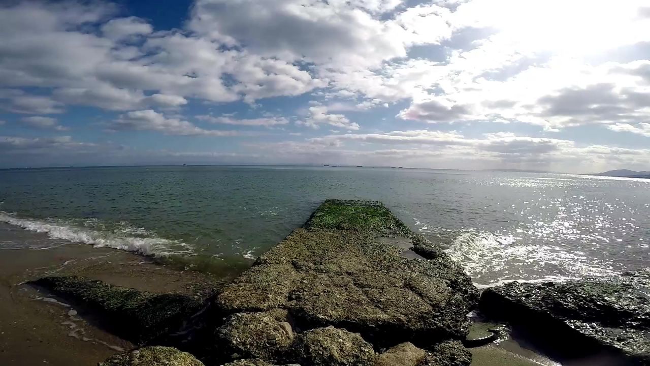 波海金葱粉海滩自然景观