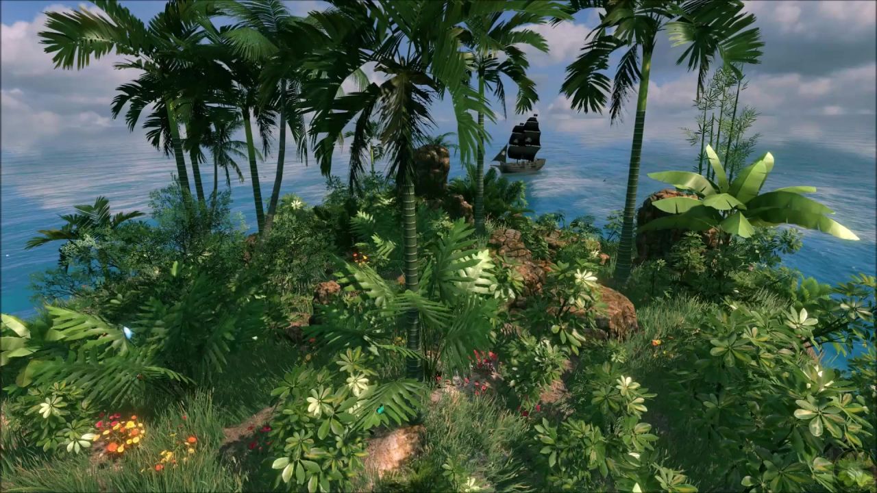 岛棕榈树海海滩