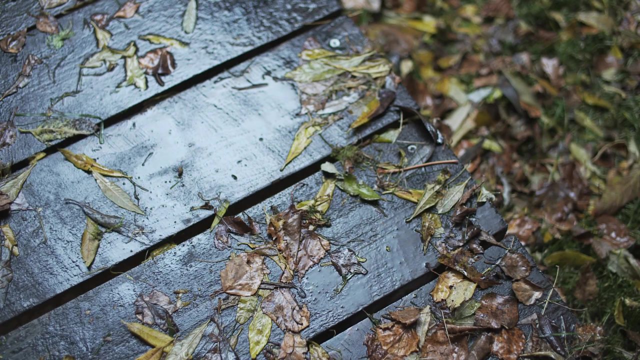 靴子鞋雨秋天