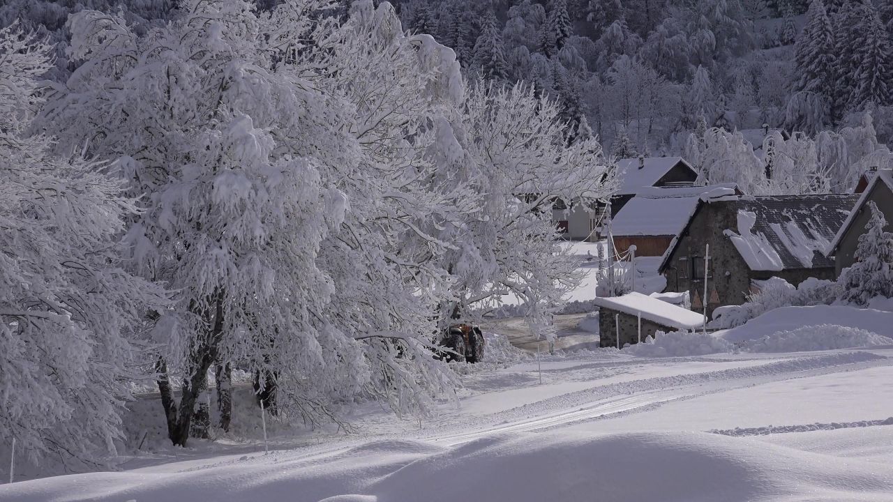 雪景温特斯狩猎雪