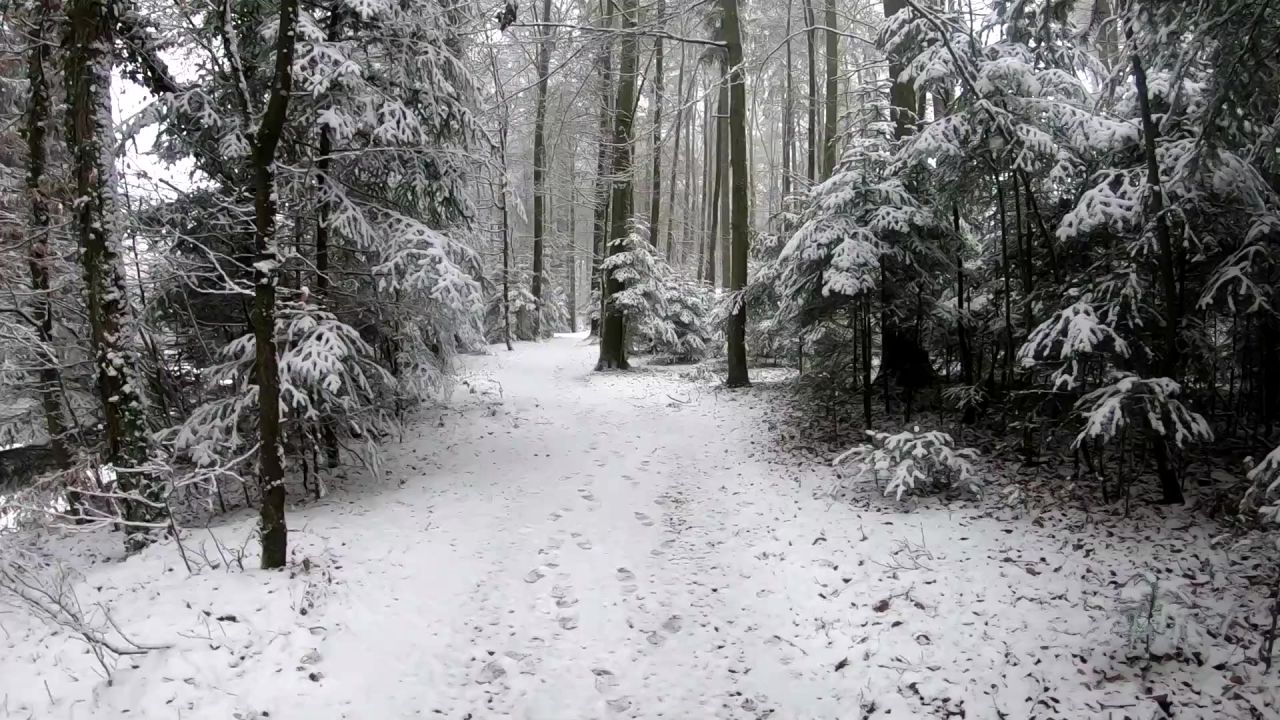 雪景观雪冷