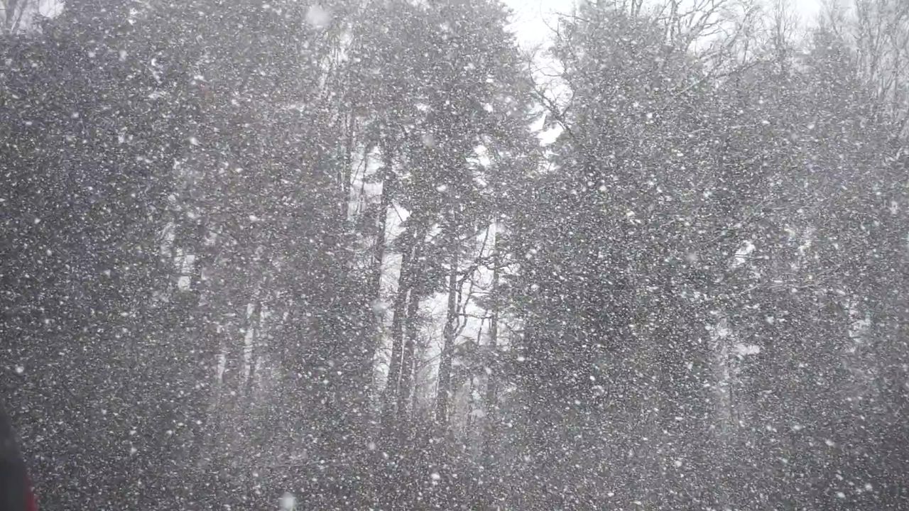 雪乱舞降雪雪