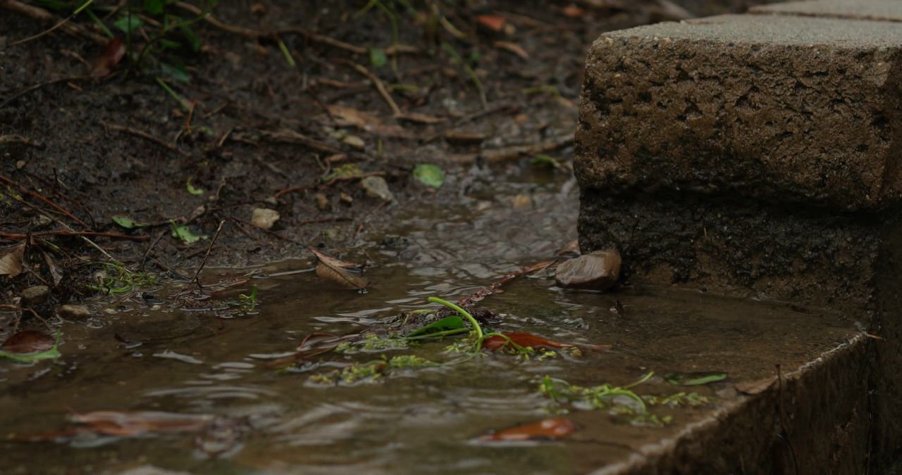 雨关闭了小溪