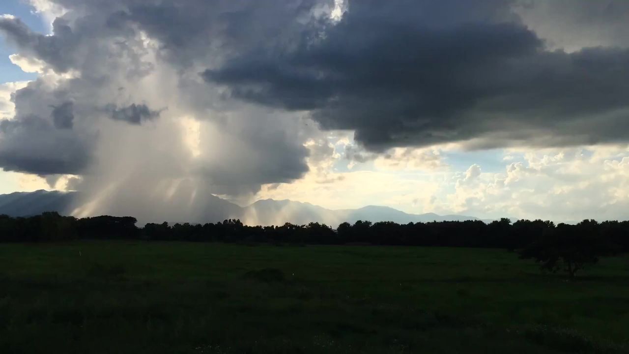 雨天空夏天景观