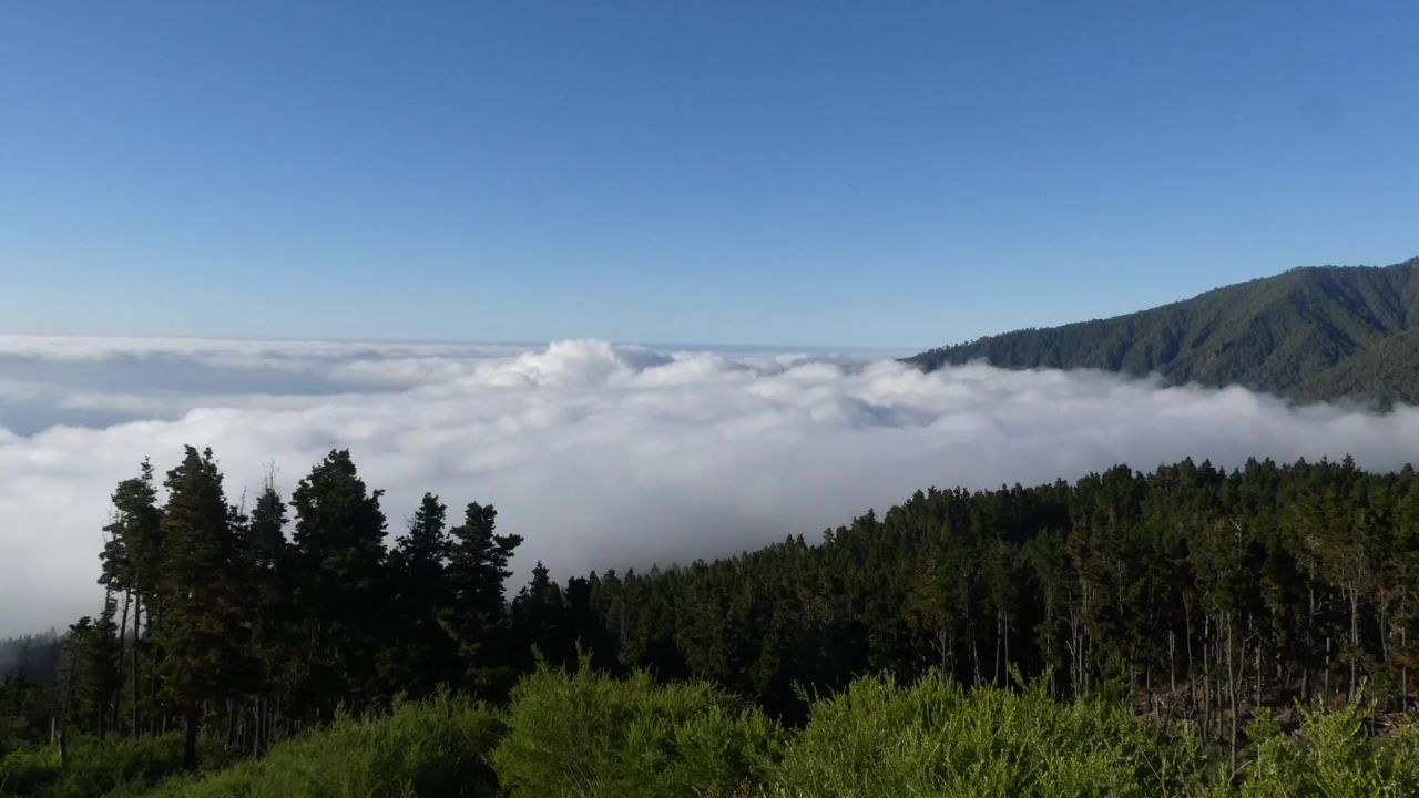 云天空夏季天气景观