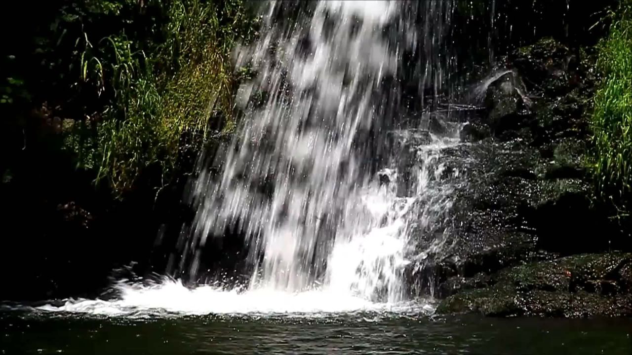 自然景观绿色河风景