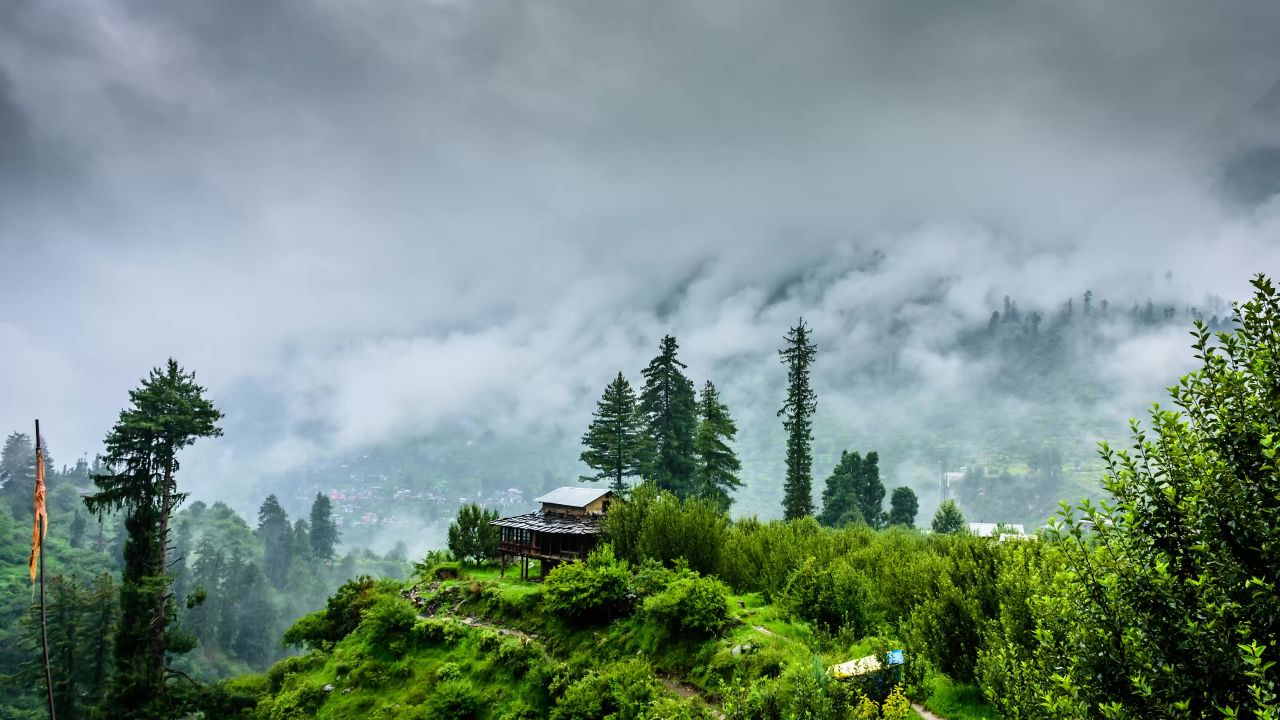 自然绿色景观云雨