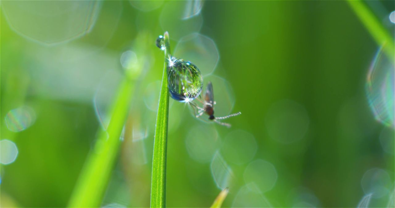 自然下降湿雨