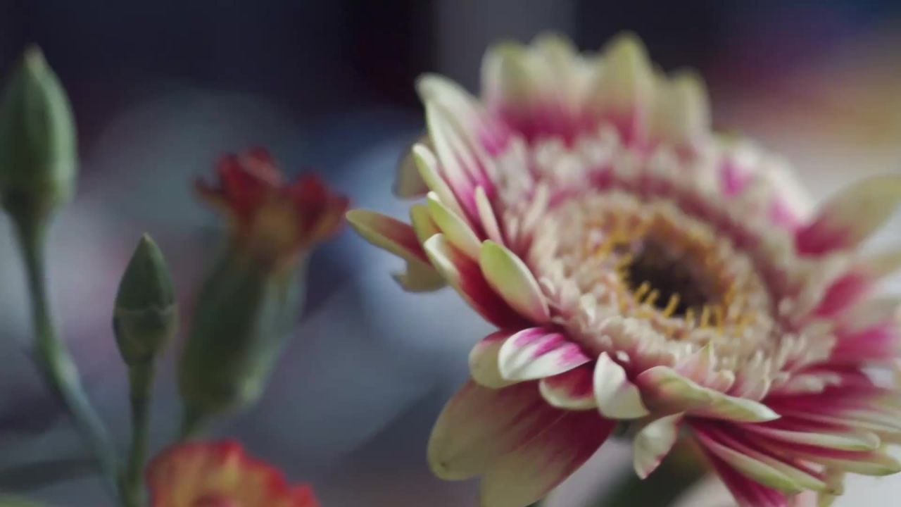 花春关闭了