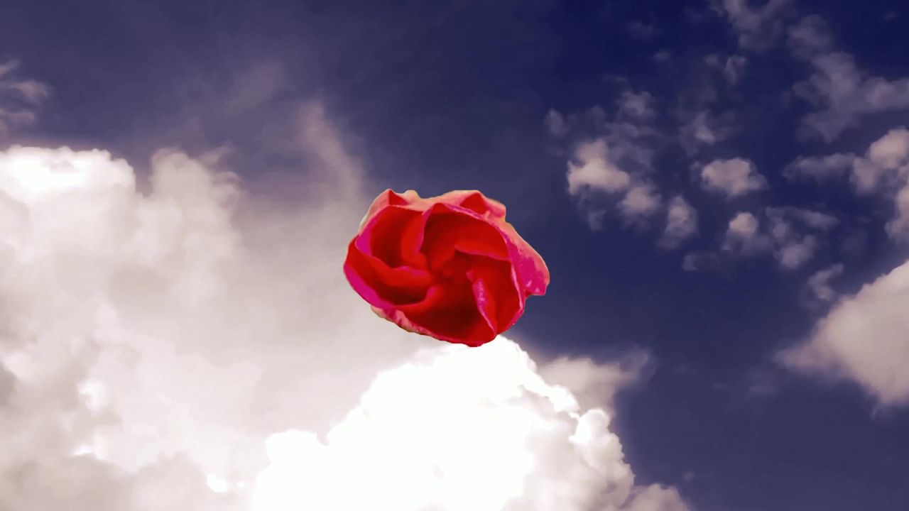 花天空云处理