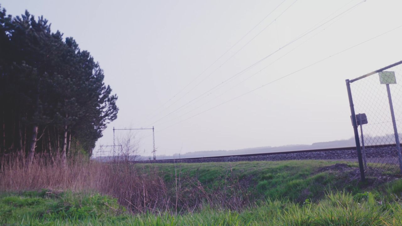火车传递自然树