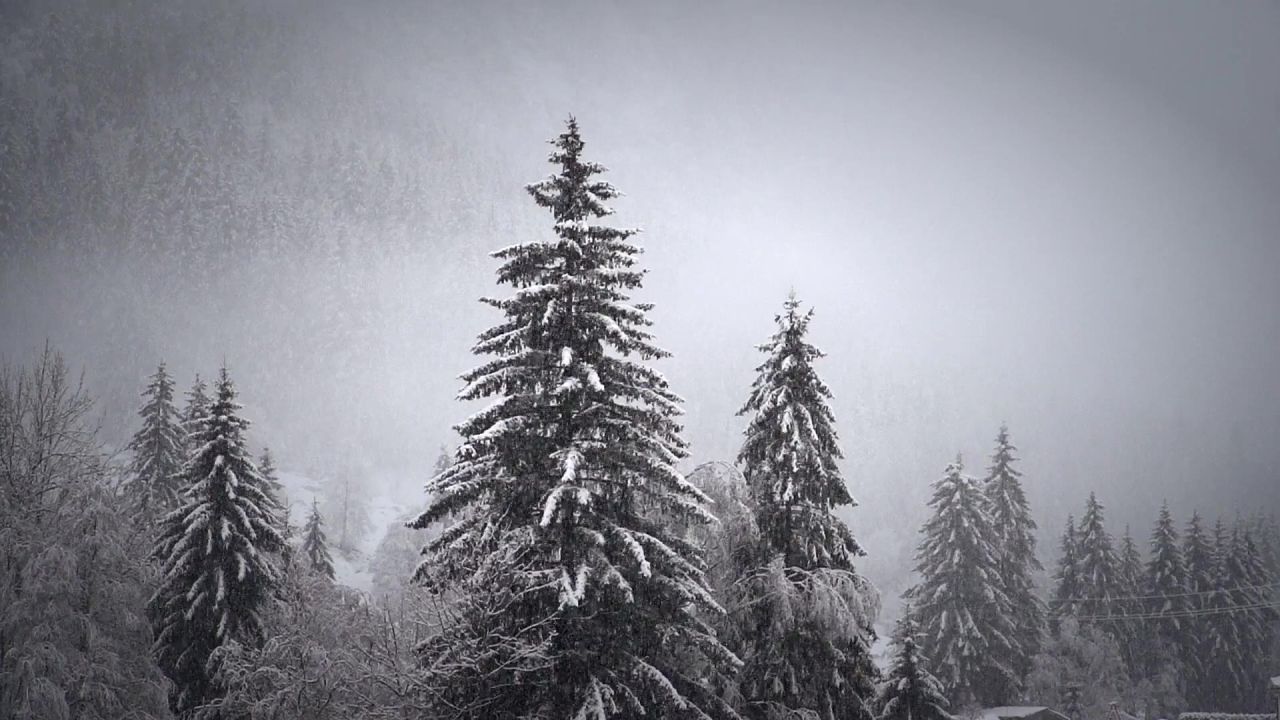 降雪冬天雪冷
