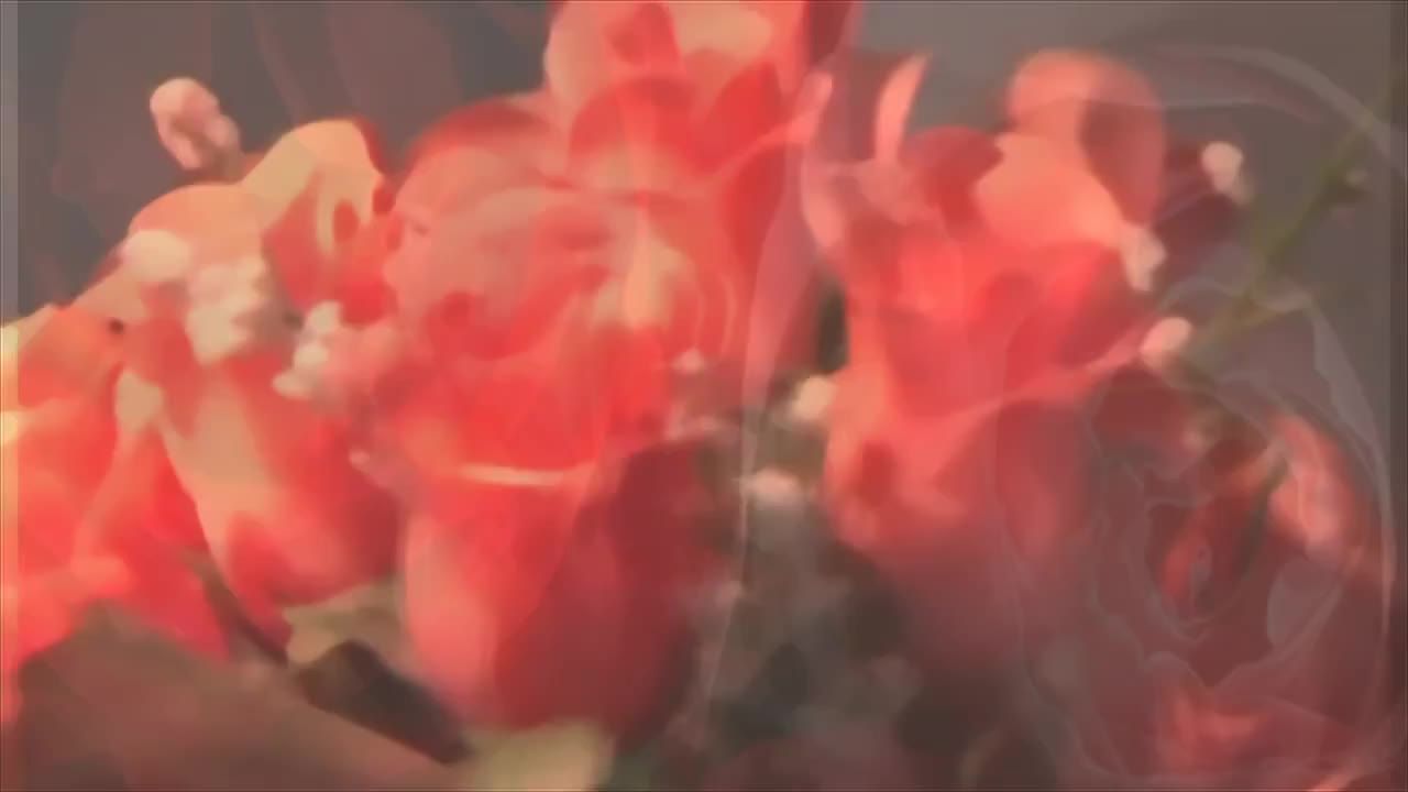 玫瑰花束红色花
