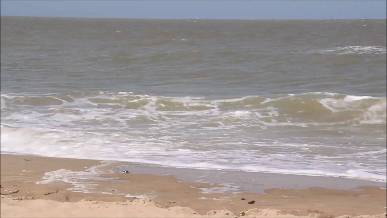 海波水海滩波罗的海