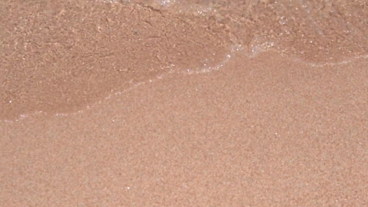 海游泳女子夏季