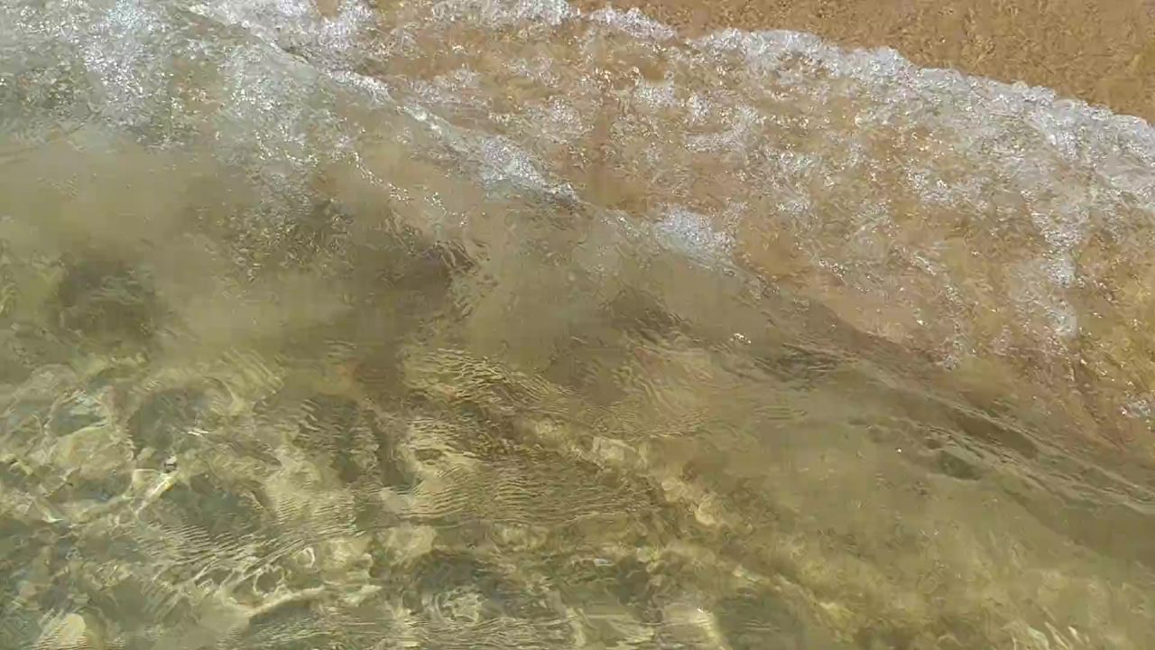 海滩波海洋景观