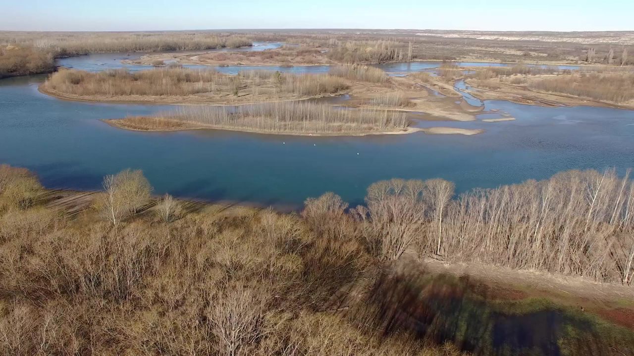 河水原野景观自然