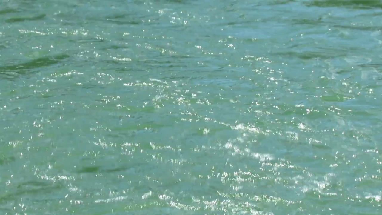 河水课程当前